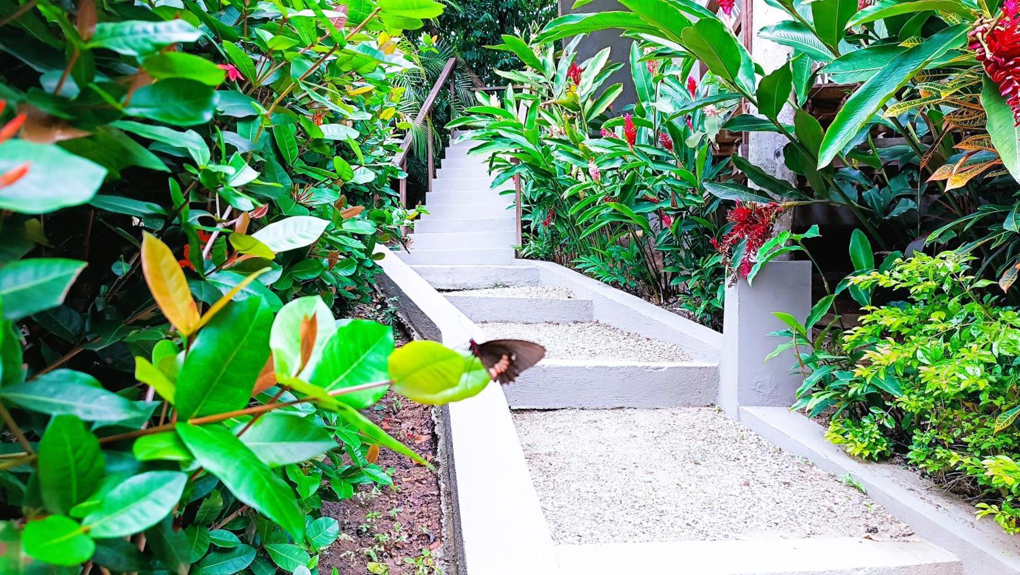 Hotel Isabella Tayrona Los Naranjos Exterior foto