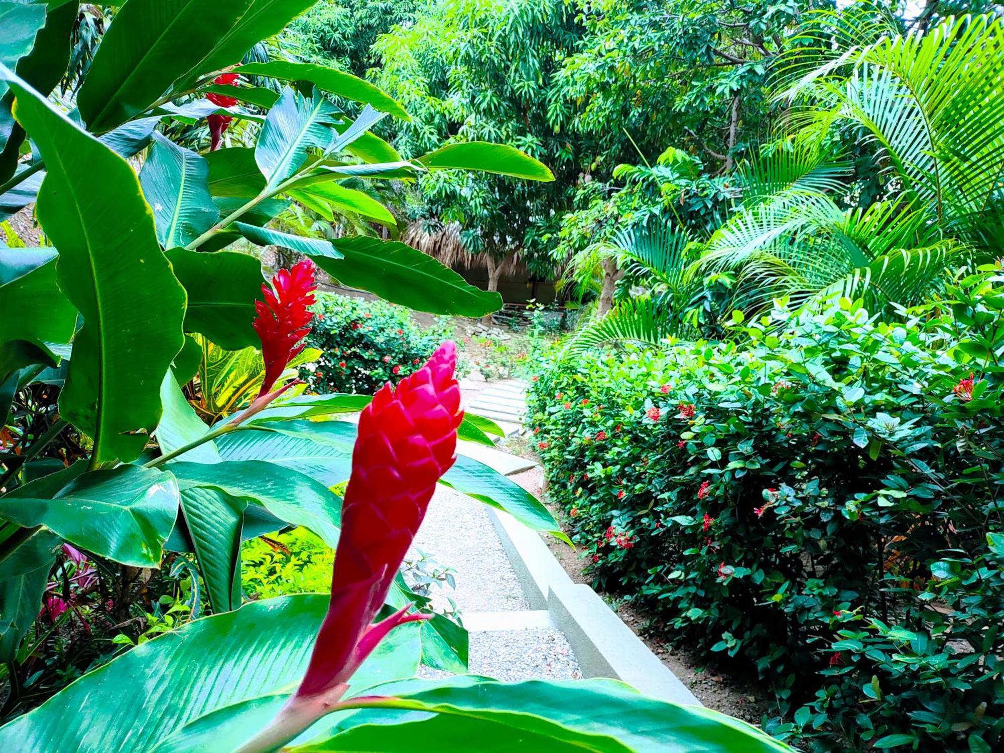 Hotel Isabella Tayrona Los Naranjos Exterior foto